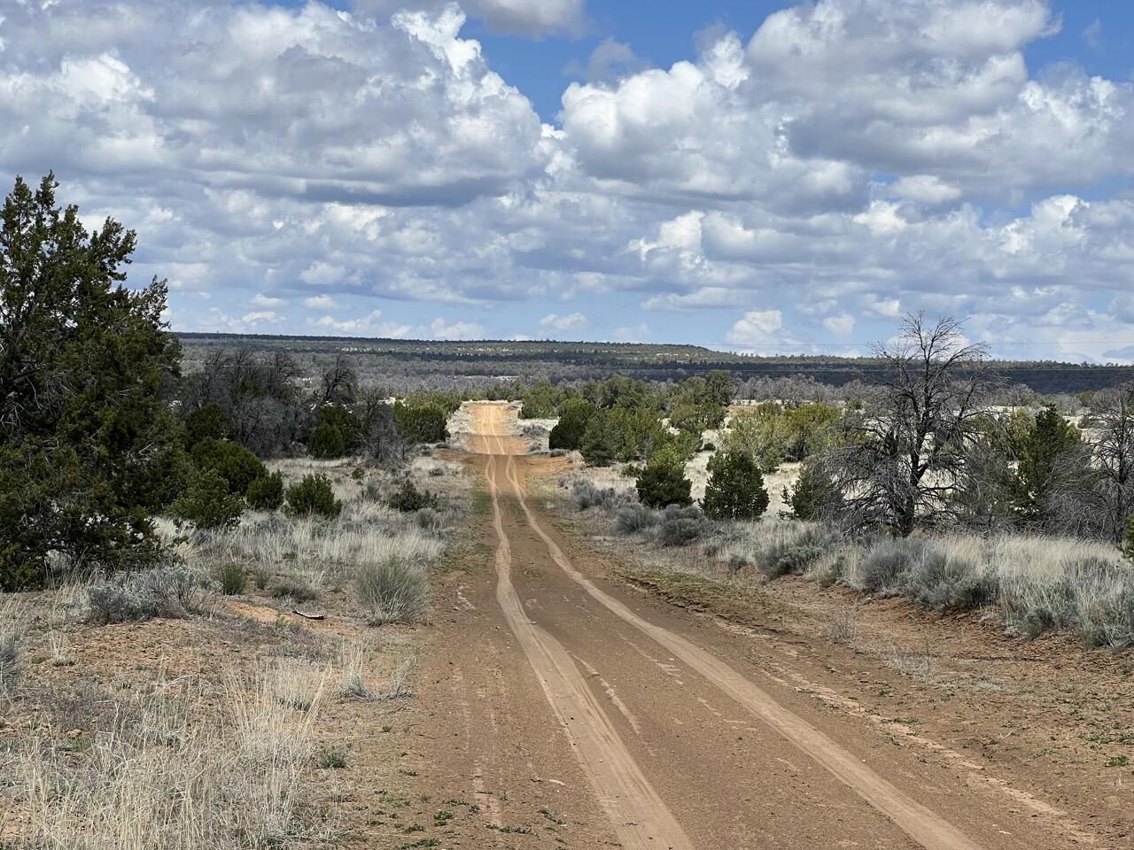 Homes for sale in Ramah, NM | Lot 306 Edgewood Dr, Ramah, NM 87321 | MLS# 1076714