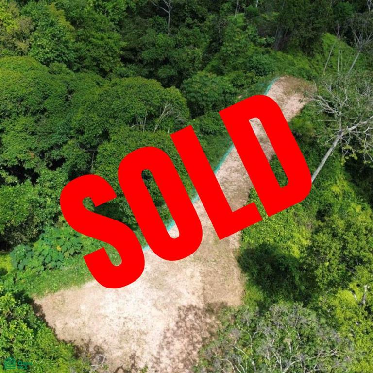 0 bed Land For Sale in Osa, Puntarenas - 1