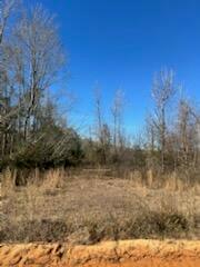 Homes for sale in Marianna, FL | 5123 Elmore Road, Marianna, FL 32446 | MLS# R11054687