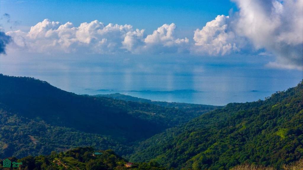 0 bed Land For Sale in Osa, Puntarenas - 1