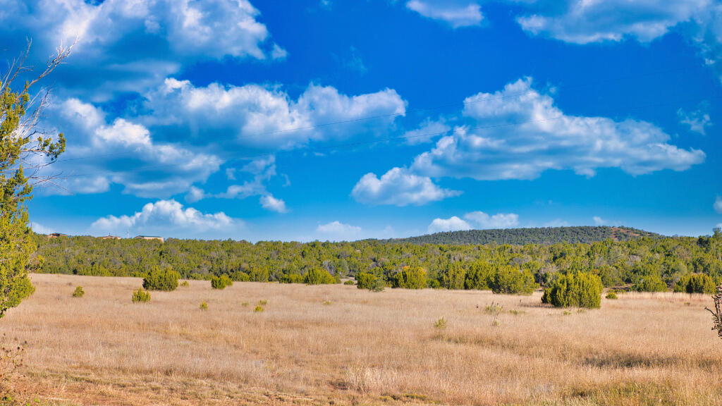 Homes for sale in Estancia, NM | 15 Manzano Morning Dr, Estancia, NM 87016 | MLS# 1077121