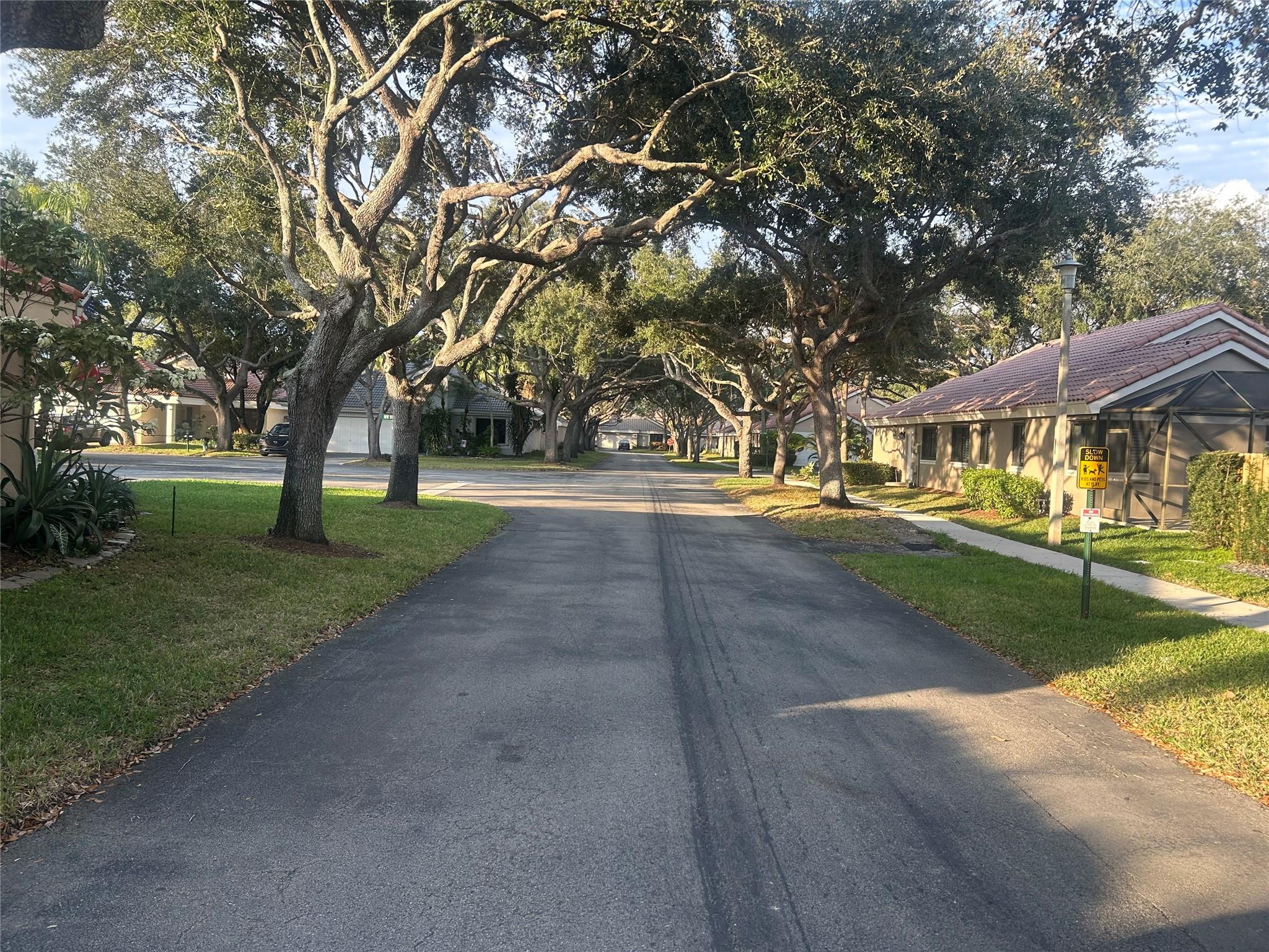 Street View w. tree canopy