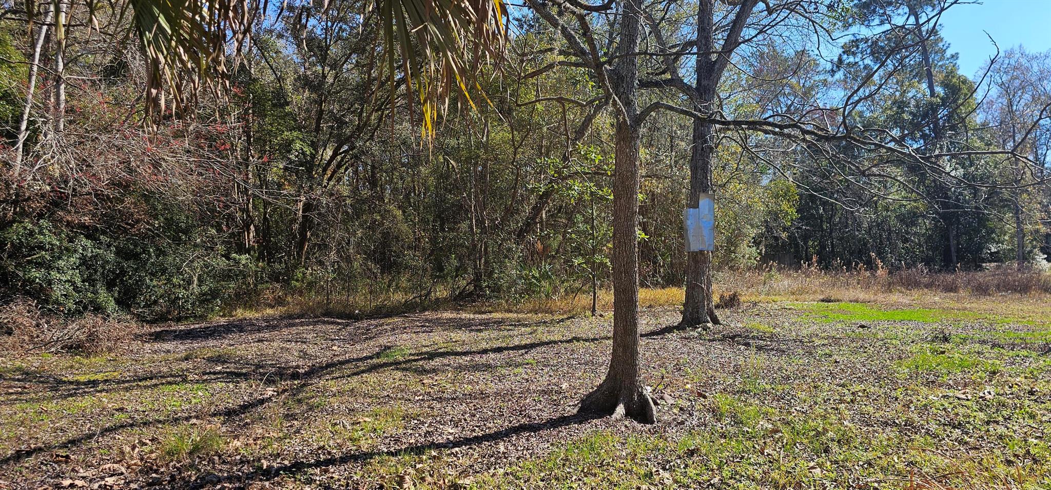 Homes for sale in Jacksonville, FL | 5676 Soutel Dr, Jacksonville, FL 32219 | MLS# R11057411