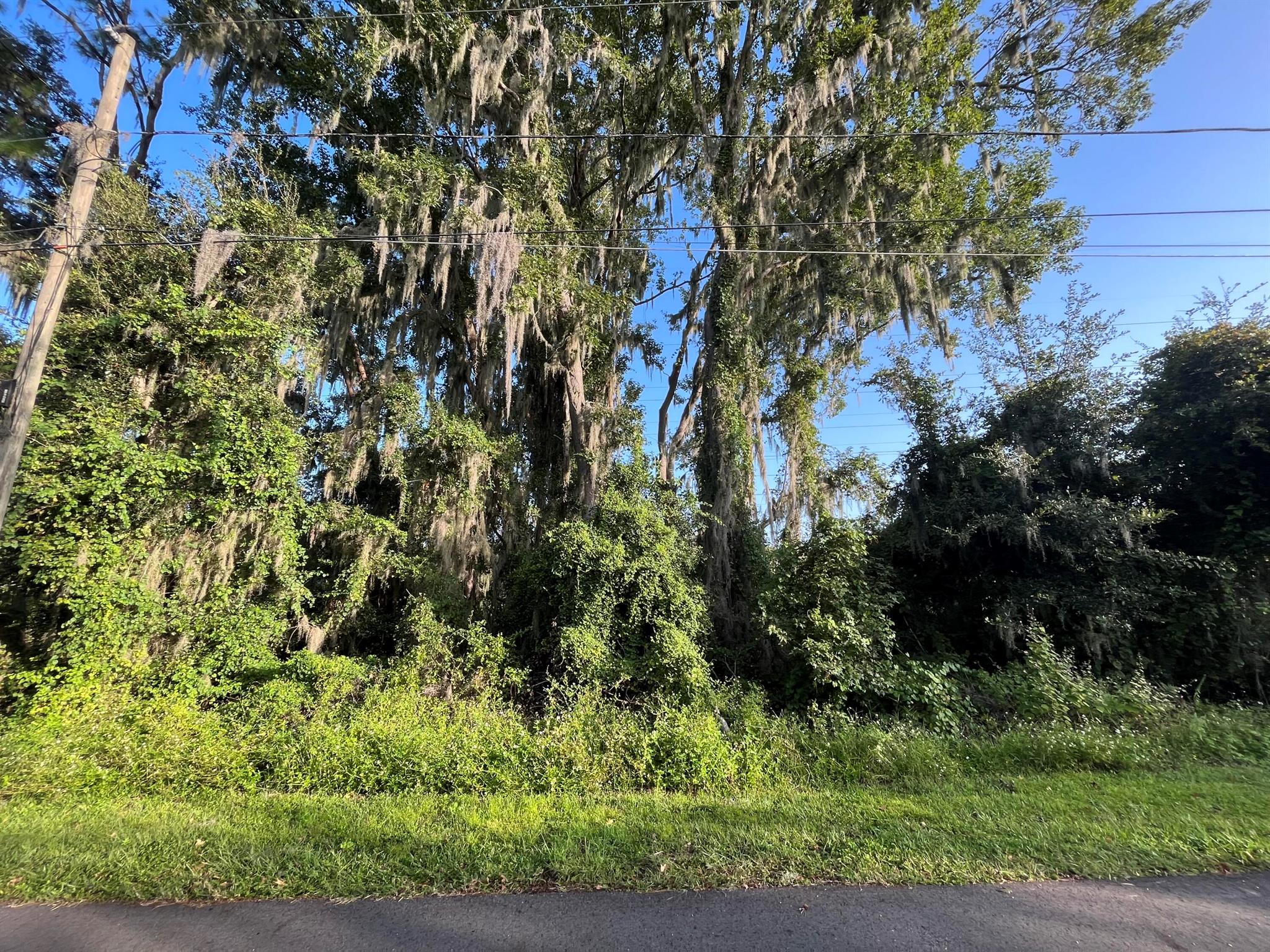 Homes for sale in Debary, FL | 262 Toms Road, Debary, FL 32713 | MLS# R11057706