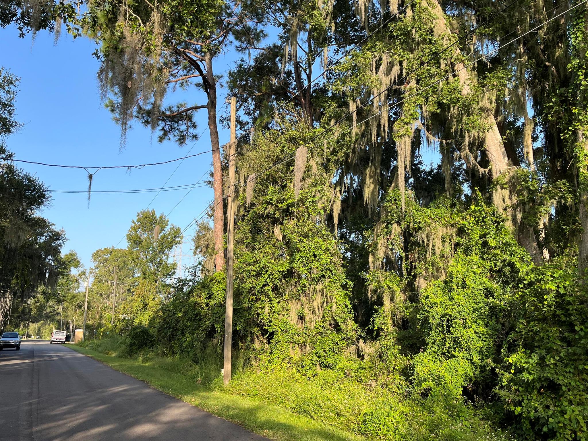 Homes for sale in Debary, FL | 264 Toms Road, Debary, FL 32713 | MLS# R11057734