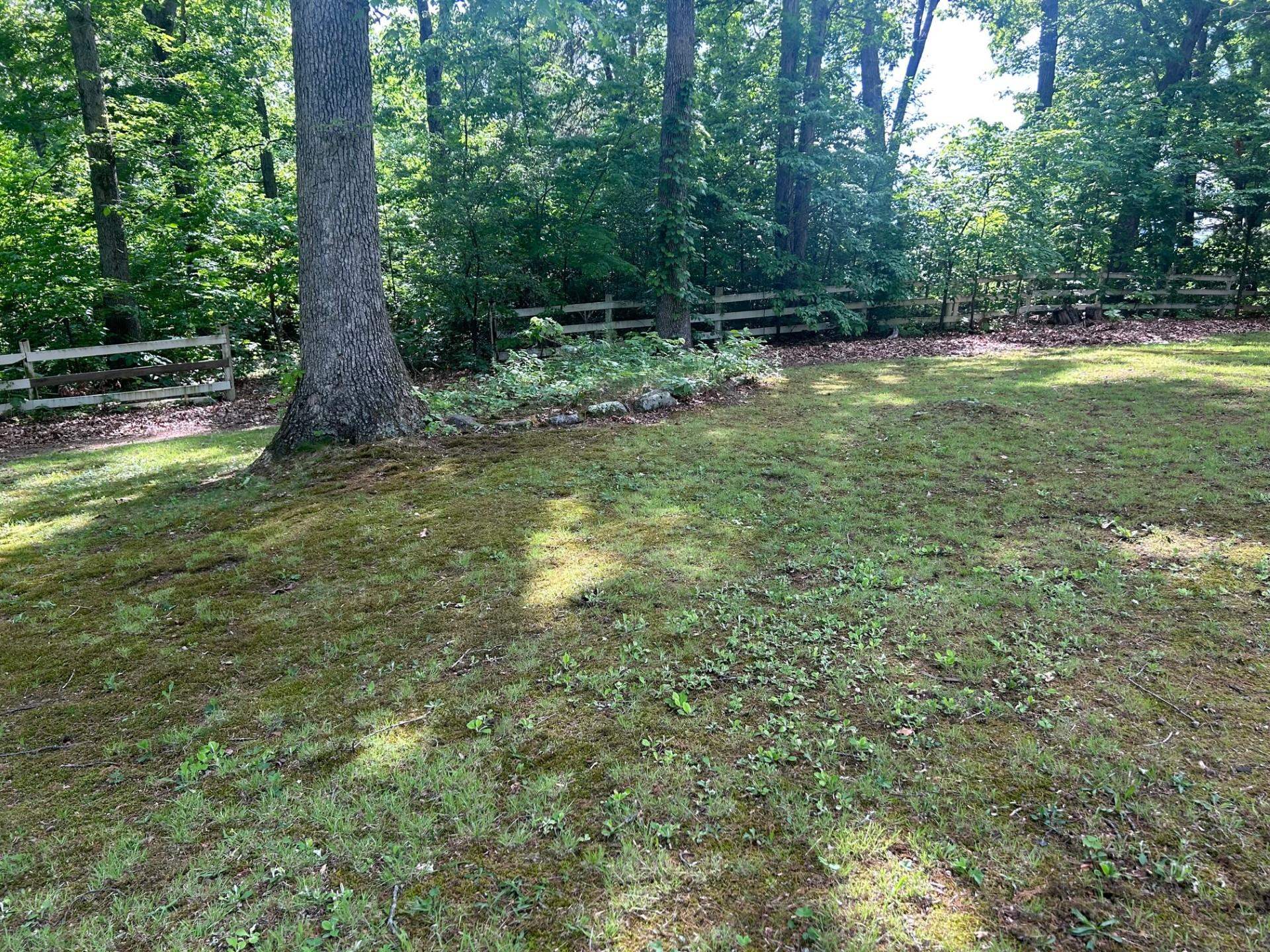 303 & 301 Miller Rd