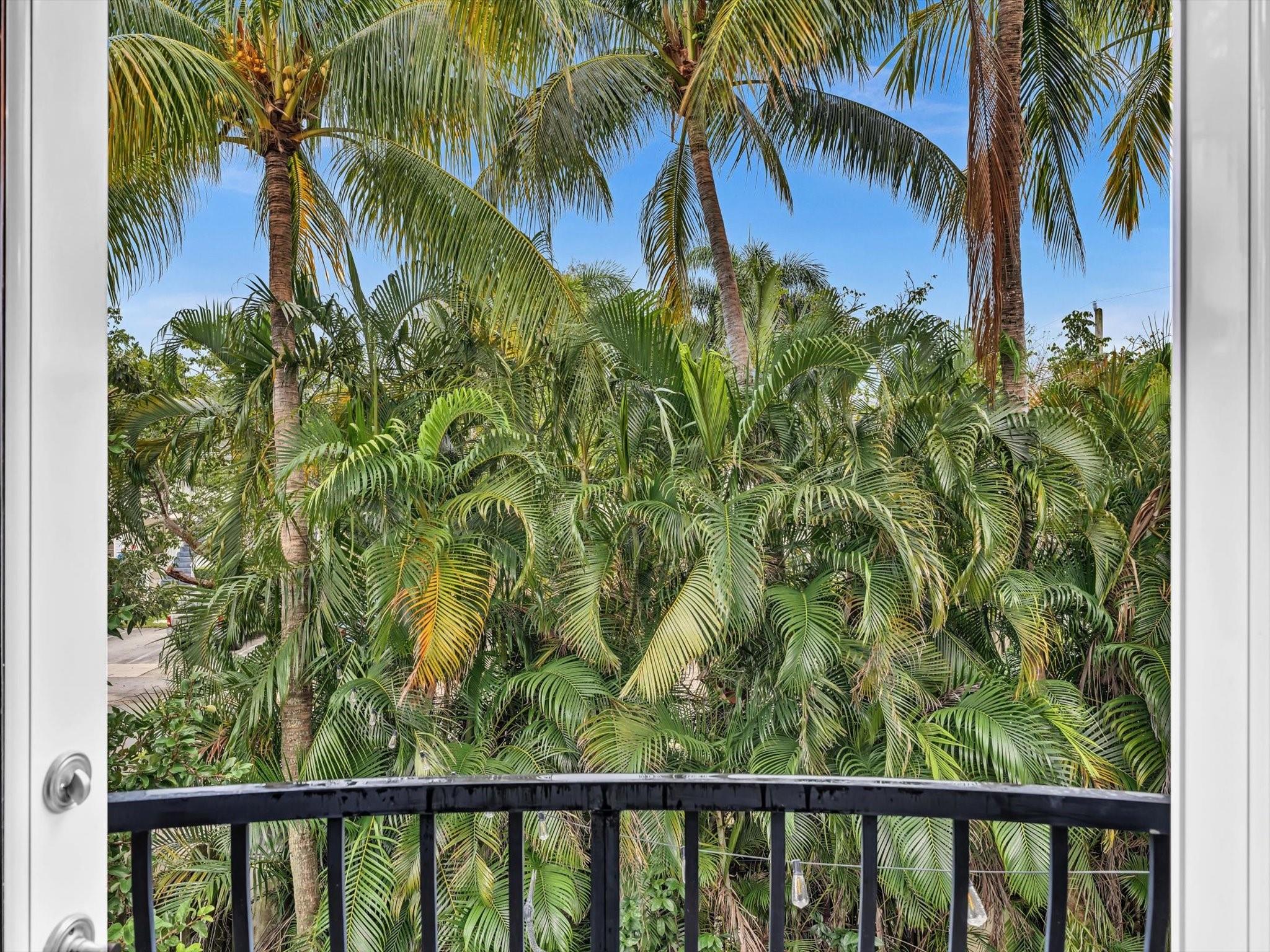 View from Juliet Balcony