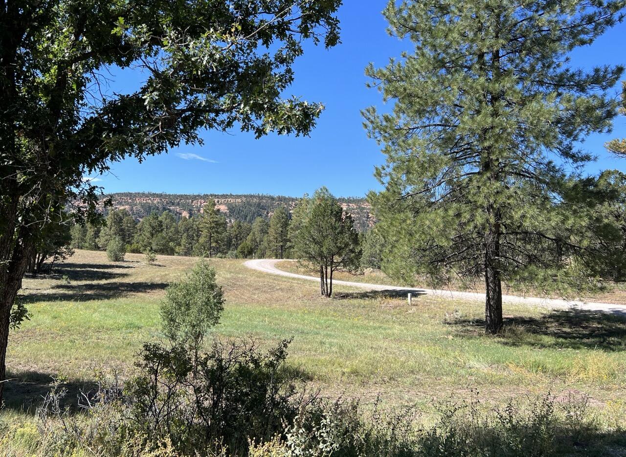 Homes for sale in Ramah, NM | Lot 18 Quail Rd, Ramah, NM 87321 | MLS# 1077879