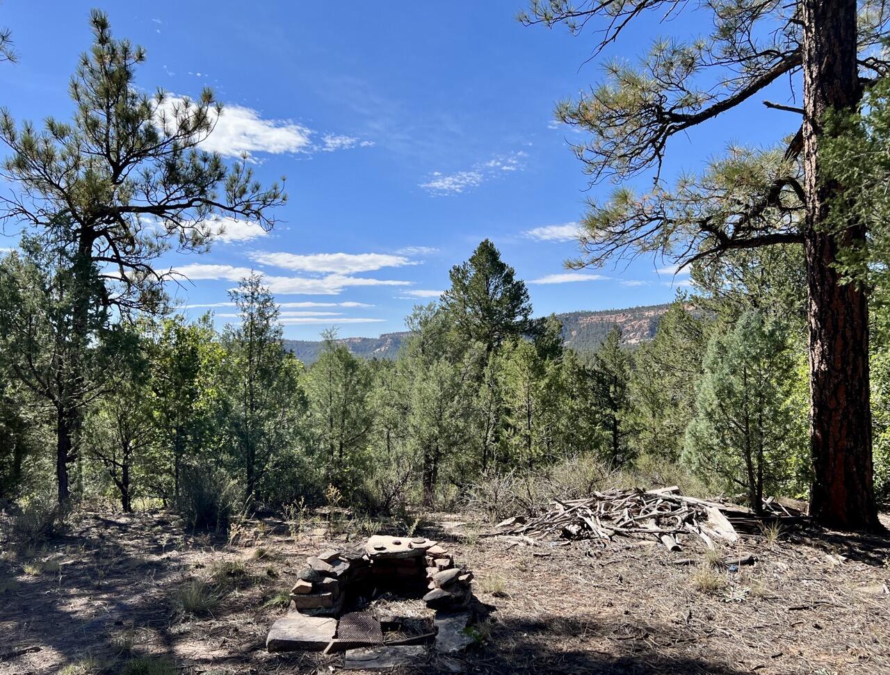 Homes for sale in Ramah, NM | Lot 18 Quail Rd, Ramah, NM 87321 | MLS# 1077879