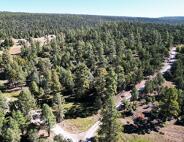 Homes for sale in Ramah, NM | Lot 18 Quail Rd, Ramah, NM 87321 | MLS# 1077879