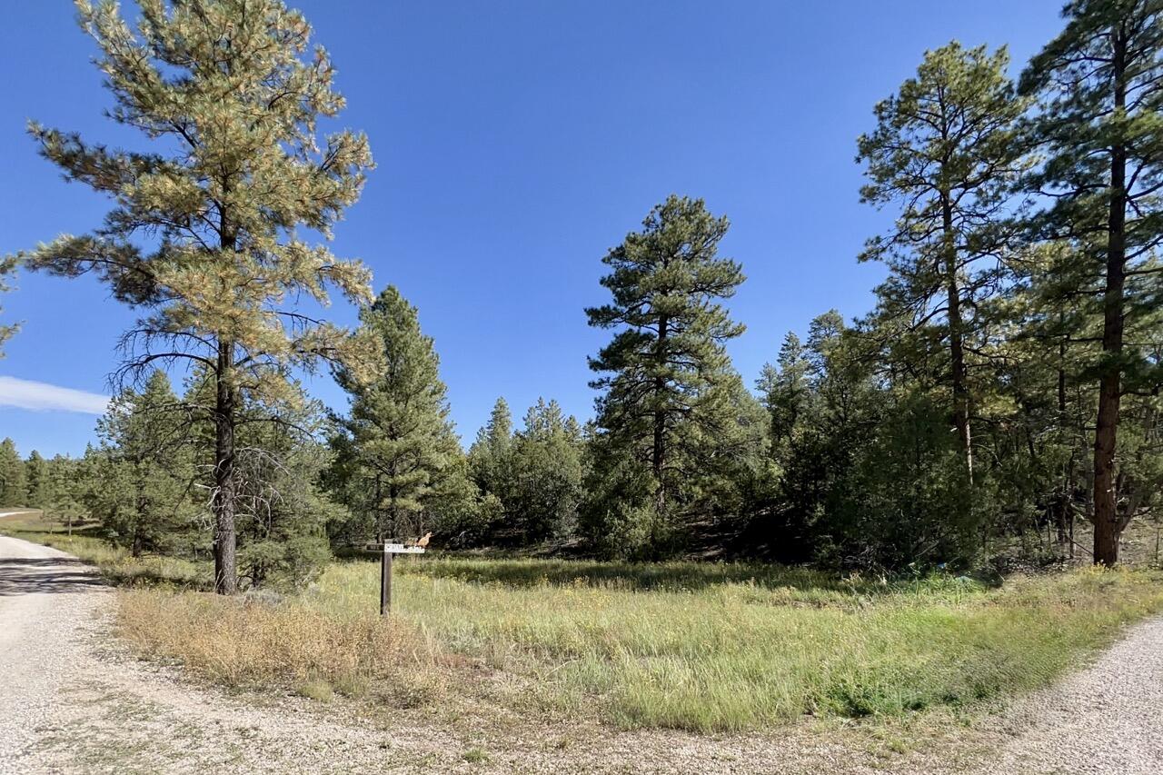 Homes for sale in Ramah, NM | Lot 18 Quail Rd, Ramah, NM 87321 | MLS# 1077879