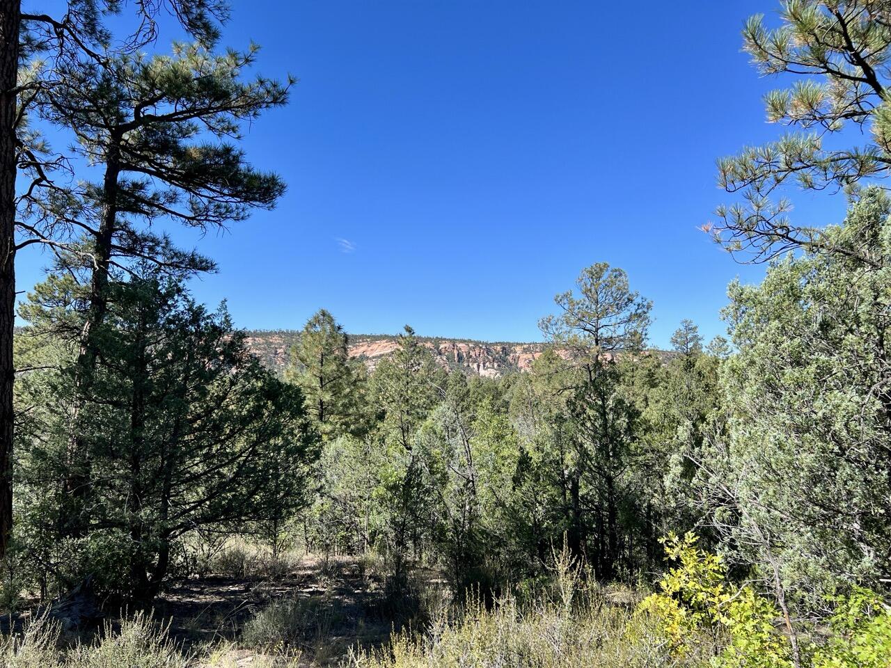 Homes for sale in Ramah, NM | Lot 18 Quail Rd, Ramah, NM 87321 | MLS# 1077879