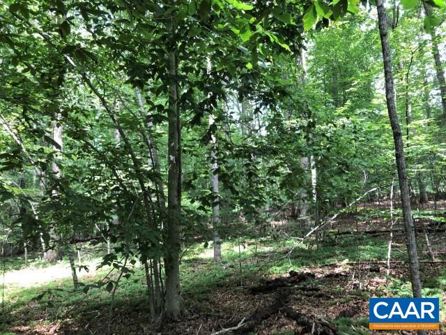 Lot 22 Woodthrush Ln