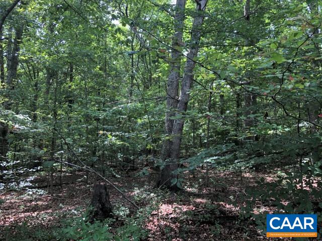 Lot 41 Foxwood Dr