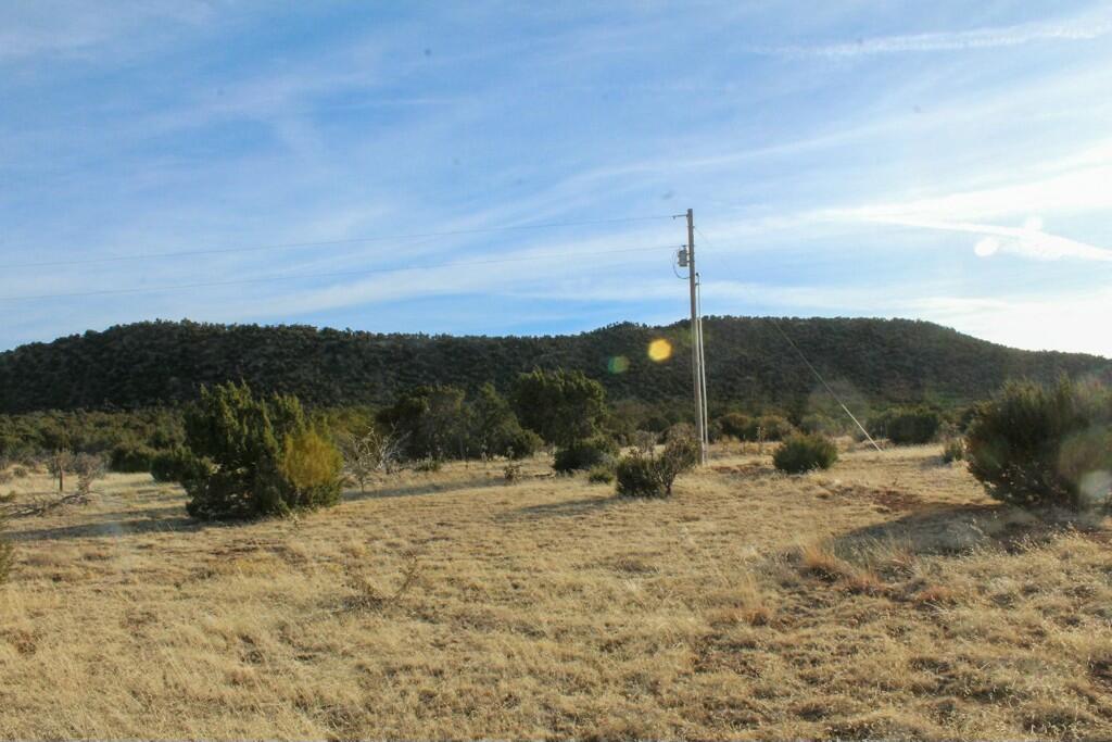 Homes for sale in Mountainair, NM | 5568 State Hwy 55, Mountainair, NM 87036 | MLS# 1077952