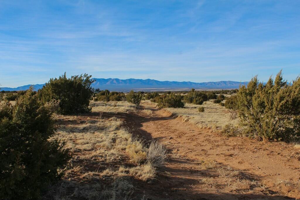 Homes for sale in Mountainair, NM | 5568 State Hwy 55, Mountainair, NM 87036 | MLS# 1077952