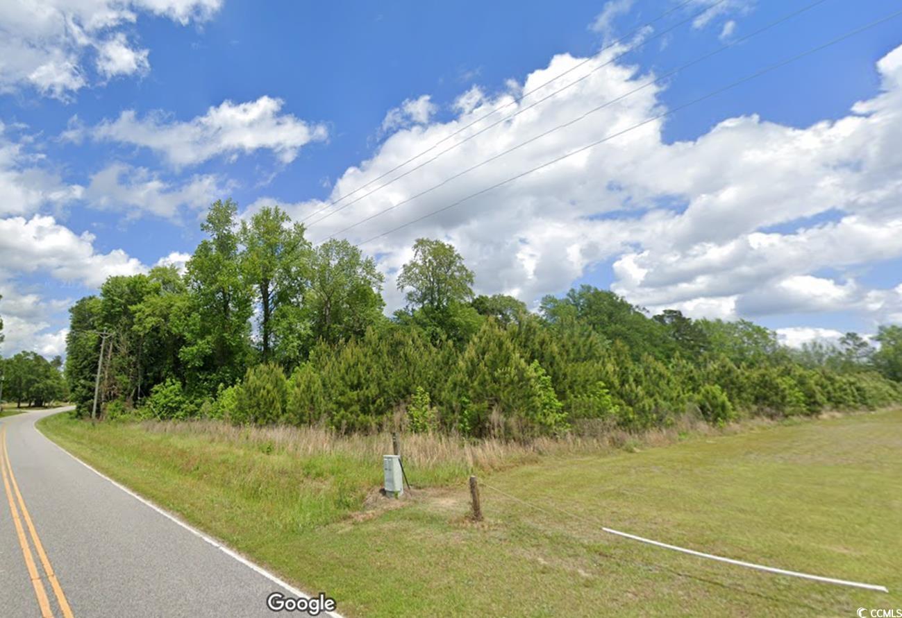 Parcel #1 Amber Ln. Galivants Ferry, SC 29544