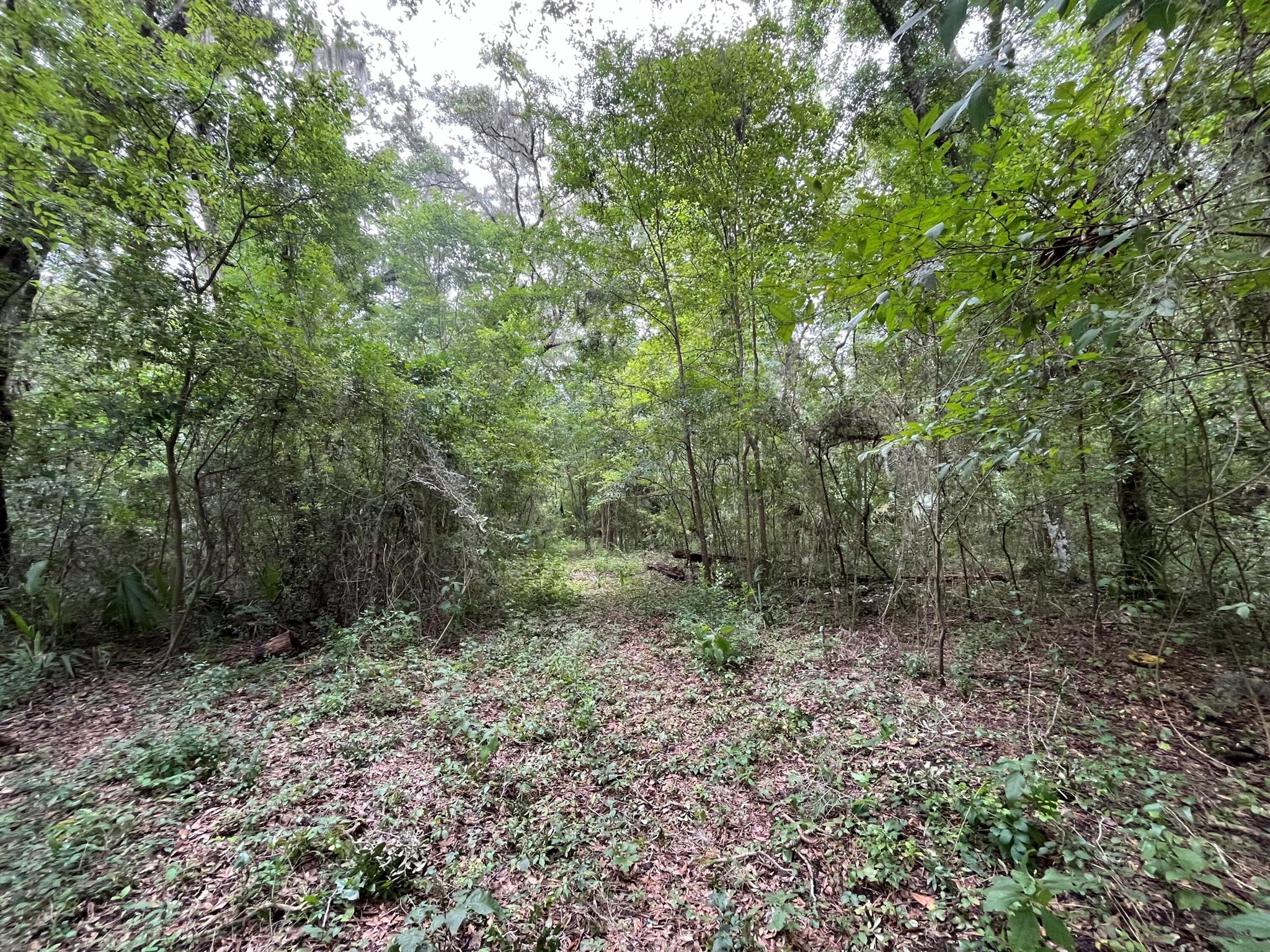 Homes for sale in Ocala, FL | Tbd Nw 65Th Street, Ocala, FL 34475 | MLS# R11061364