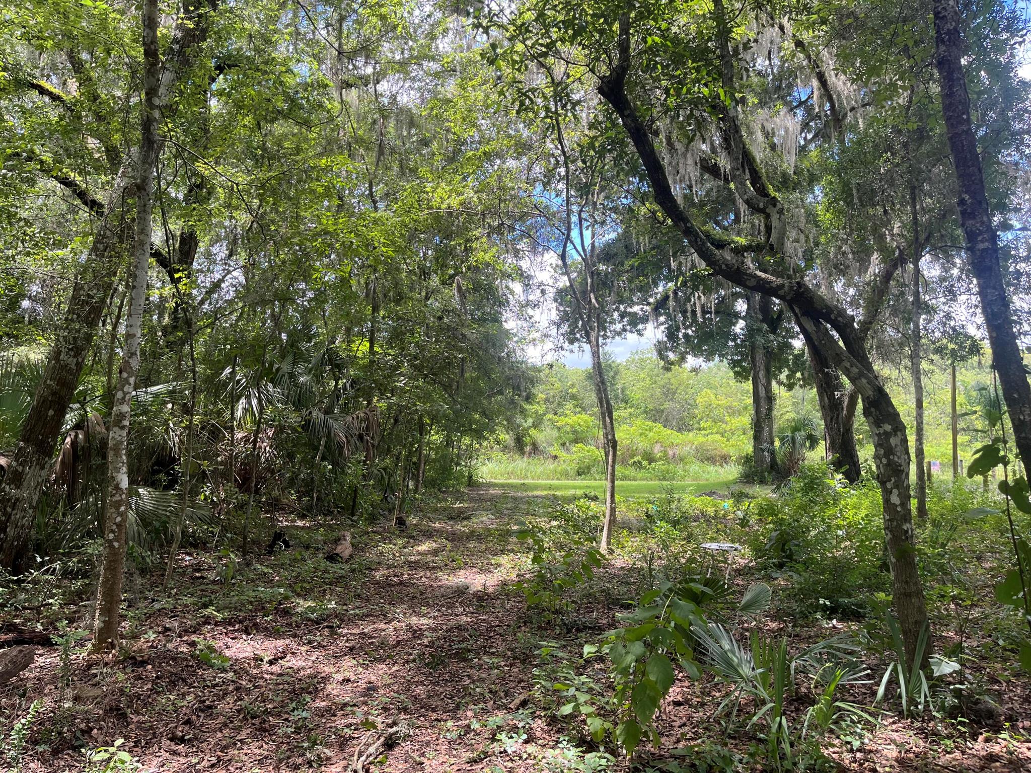 Homes for sale in Ocala, FL | Tbd Nw 65th Street, Ocala, FL 34475 | MLS# R11061364