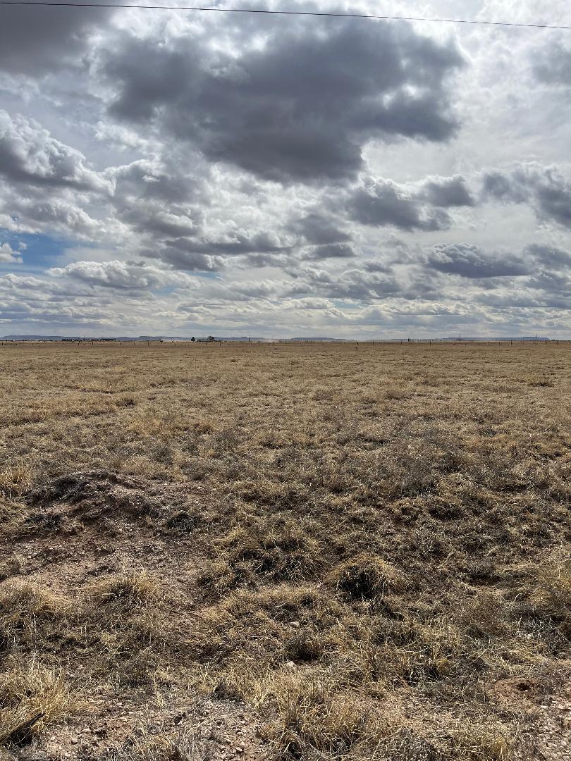 Land for sale at Cricket Lane Lot 19, Estancia, NM 87016 | MLS# 1078134