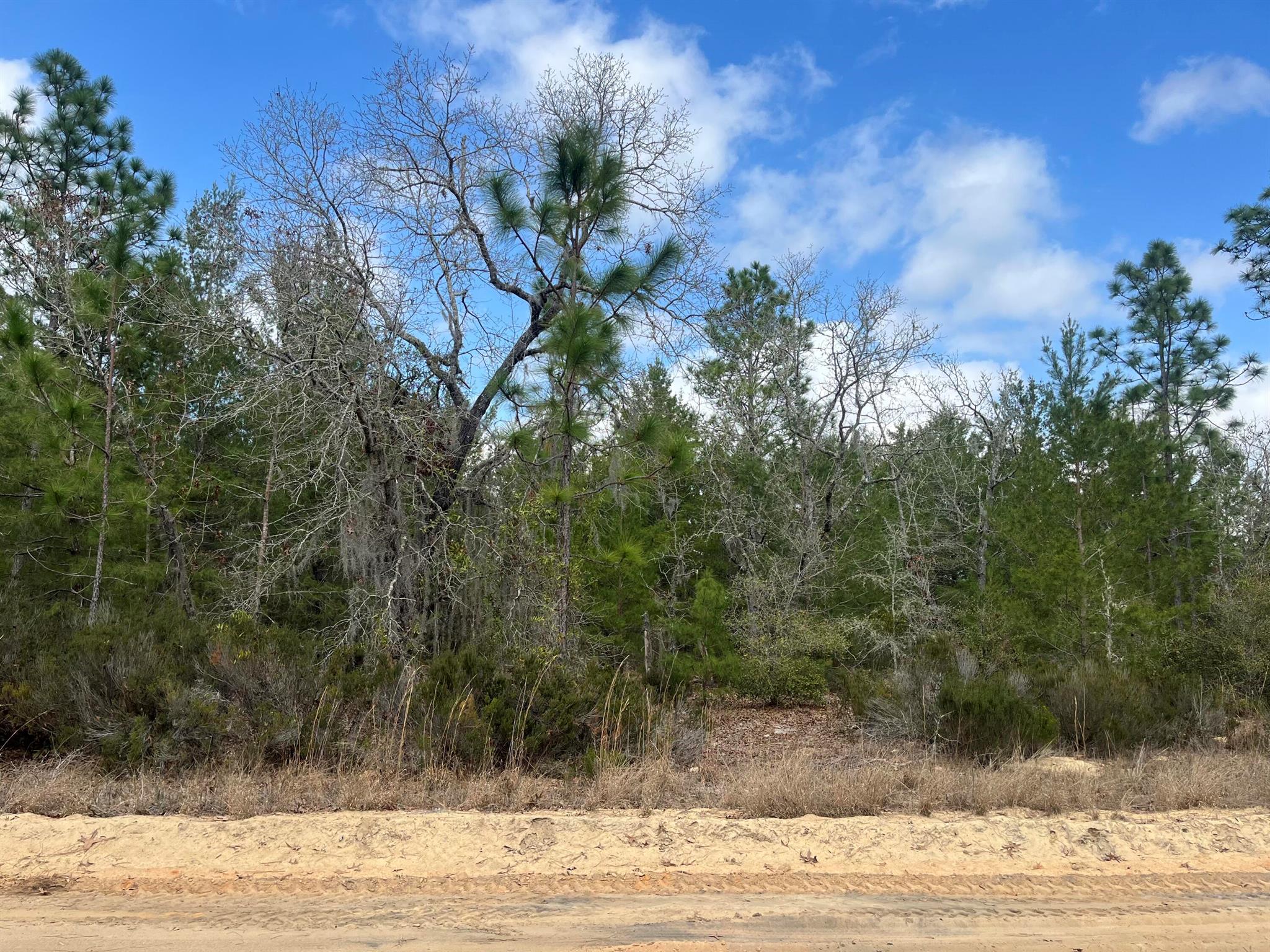 Interlachen Lakes Estates