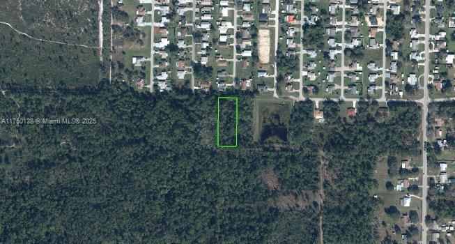 Orange Blossom Acre Lots