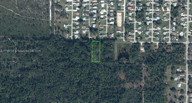 Orange Blossom Acre Lots
