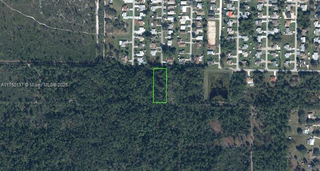 Orange Blossom Acre Lots