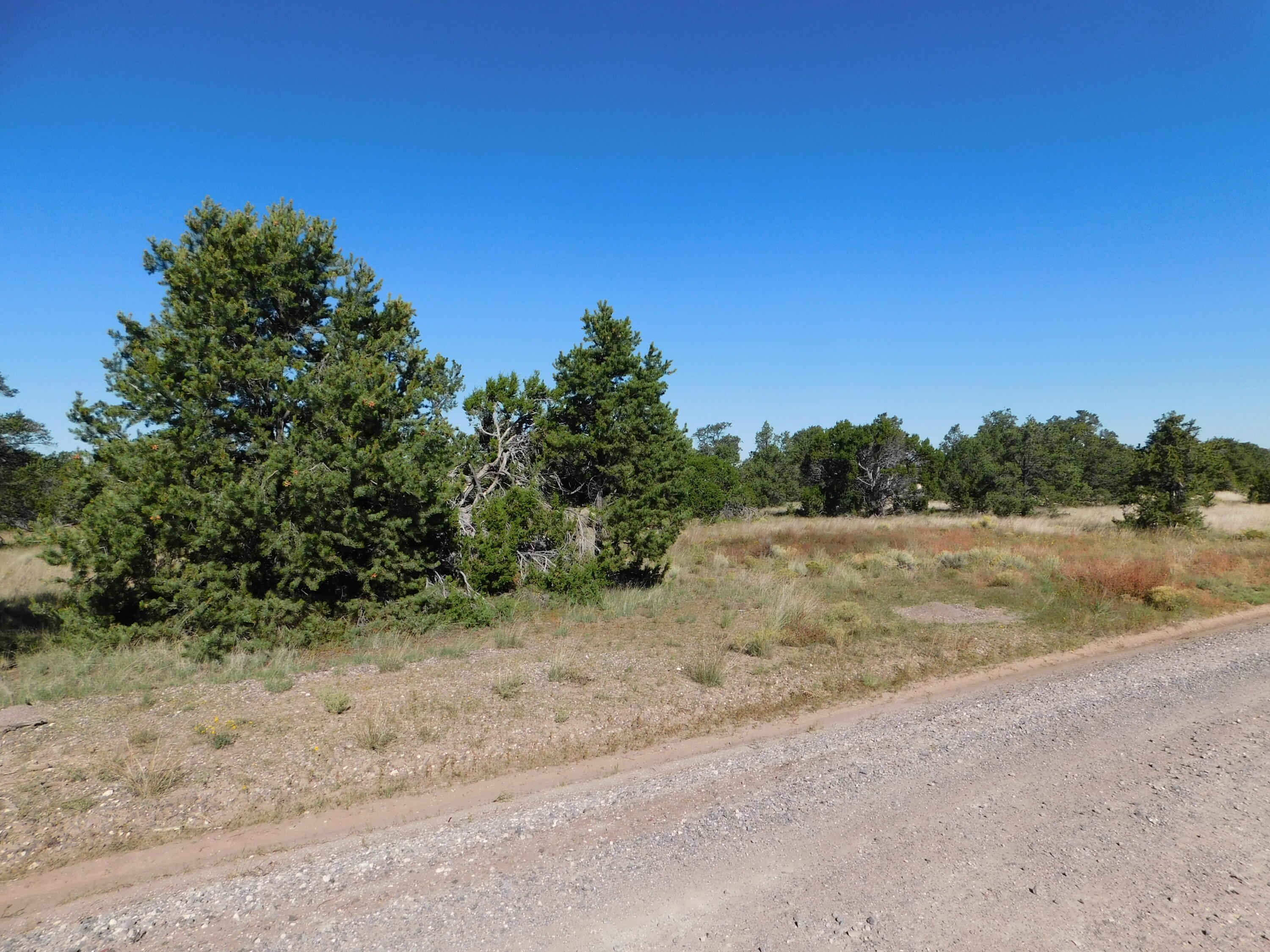 Homes for sale in Quemado, NM | 43 Brooks Blvd, Quemado, NM 87829 | MLS# 1078827