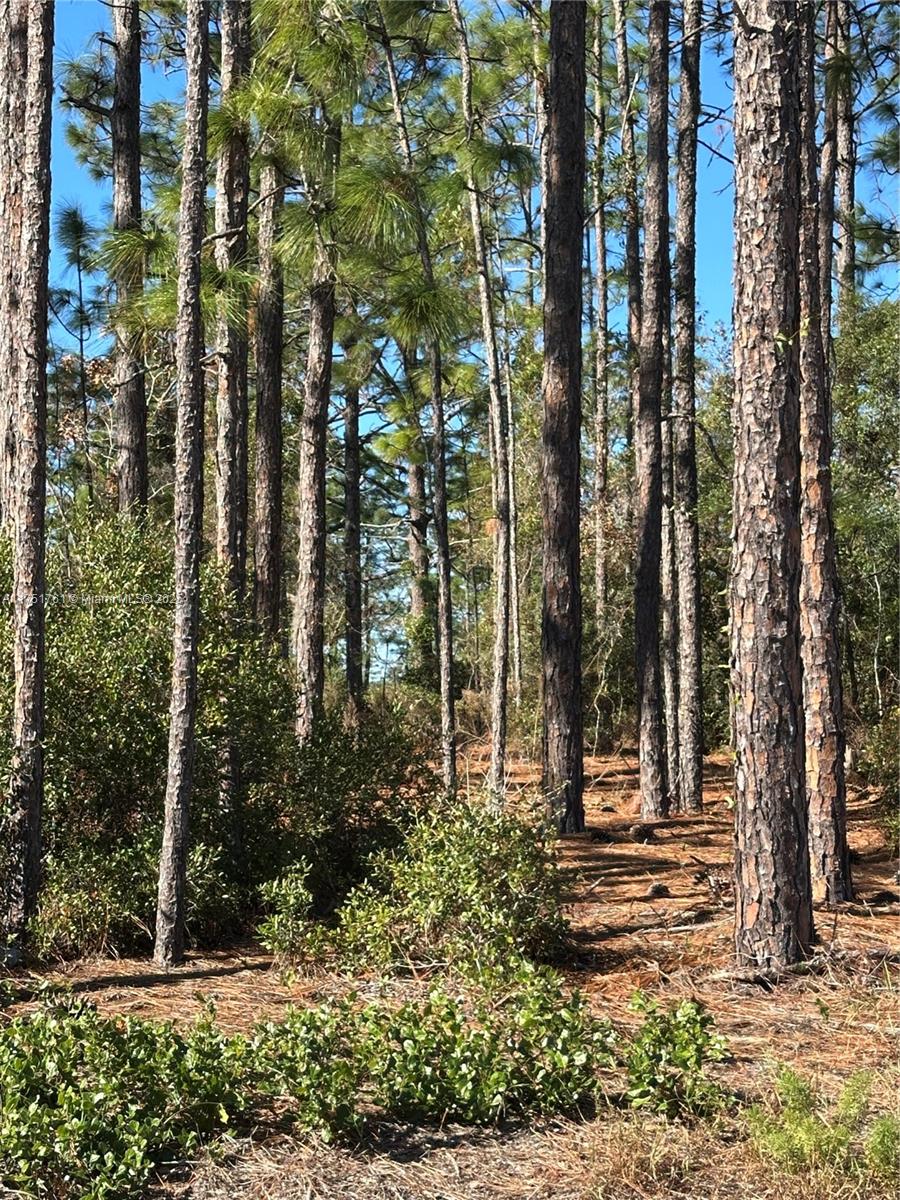 Rainbow Acres Unit 4