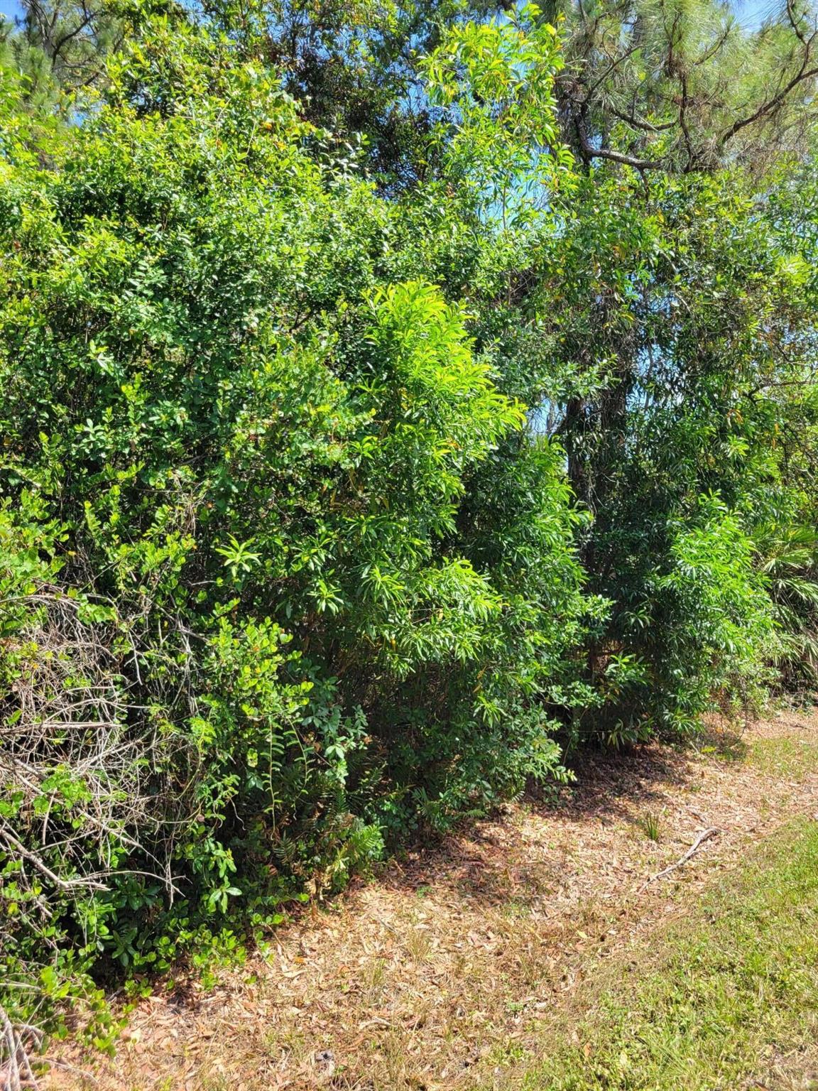 Homes for sale in Jupiter, FL | ### 133rd Trl N, Jupiter, FL 33478 | MLS# R11066109