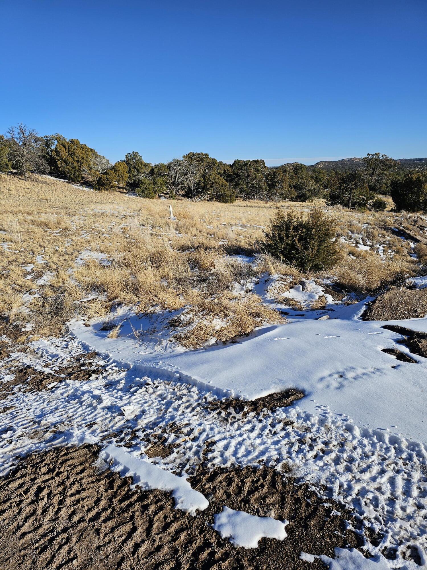 Homes for sale in Pie Town, NM | 50 Hwy 60, Pie Town, NM 87827 | MLS# 1079135