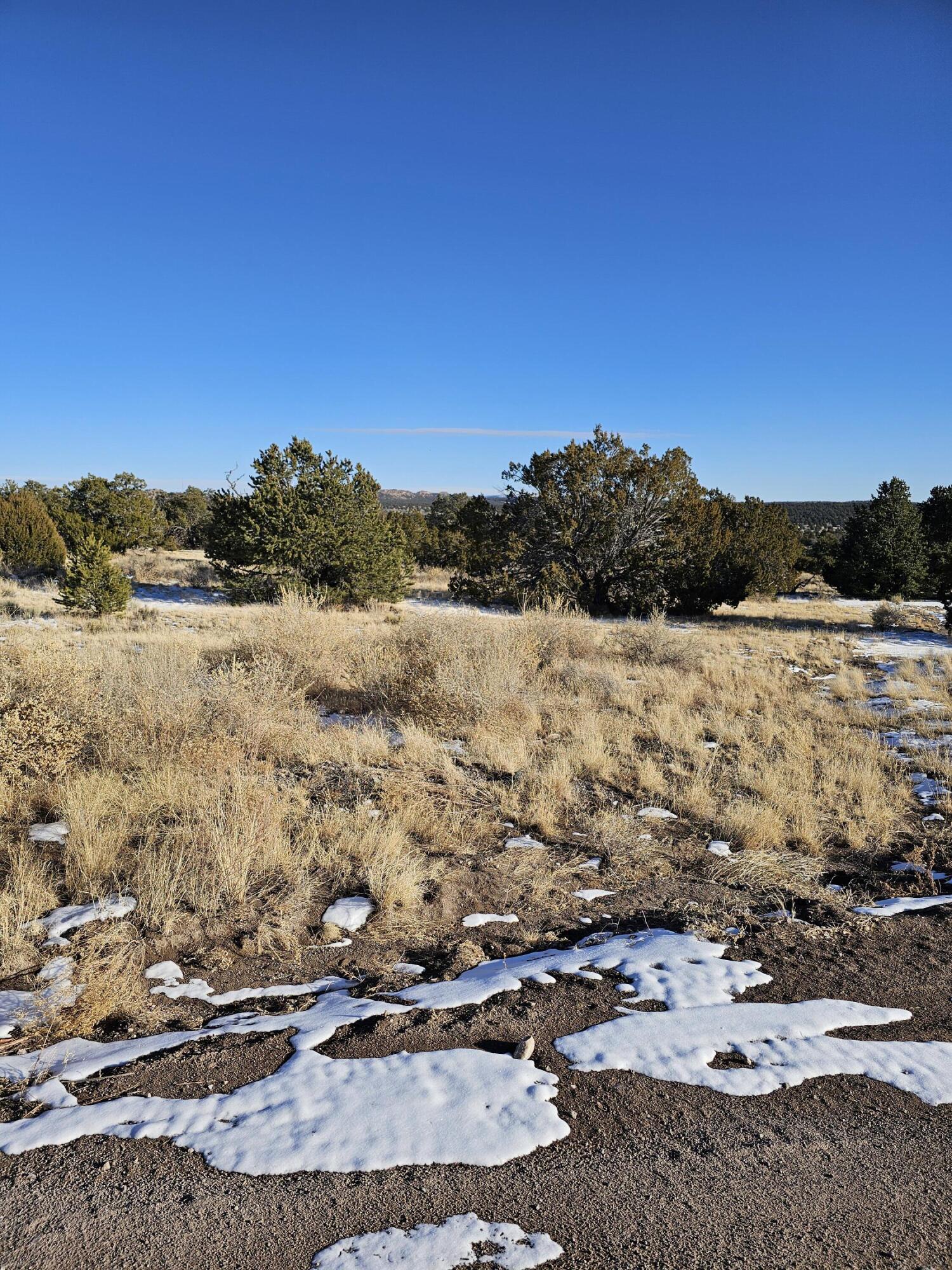 Homes for sale in Pie Town, NM | 50 Hwy 60, Pie Town, NM 87827 | MLS# 1079135