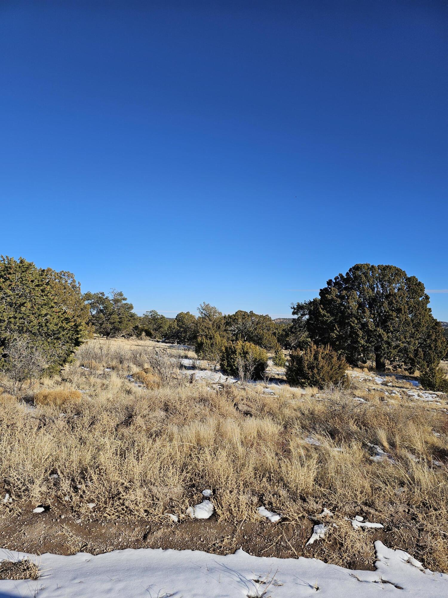 Homes for sale in Pie Town, NM | 50 Hwy 60, Pie Town, NM 87827 | MLS# 1079135