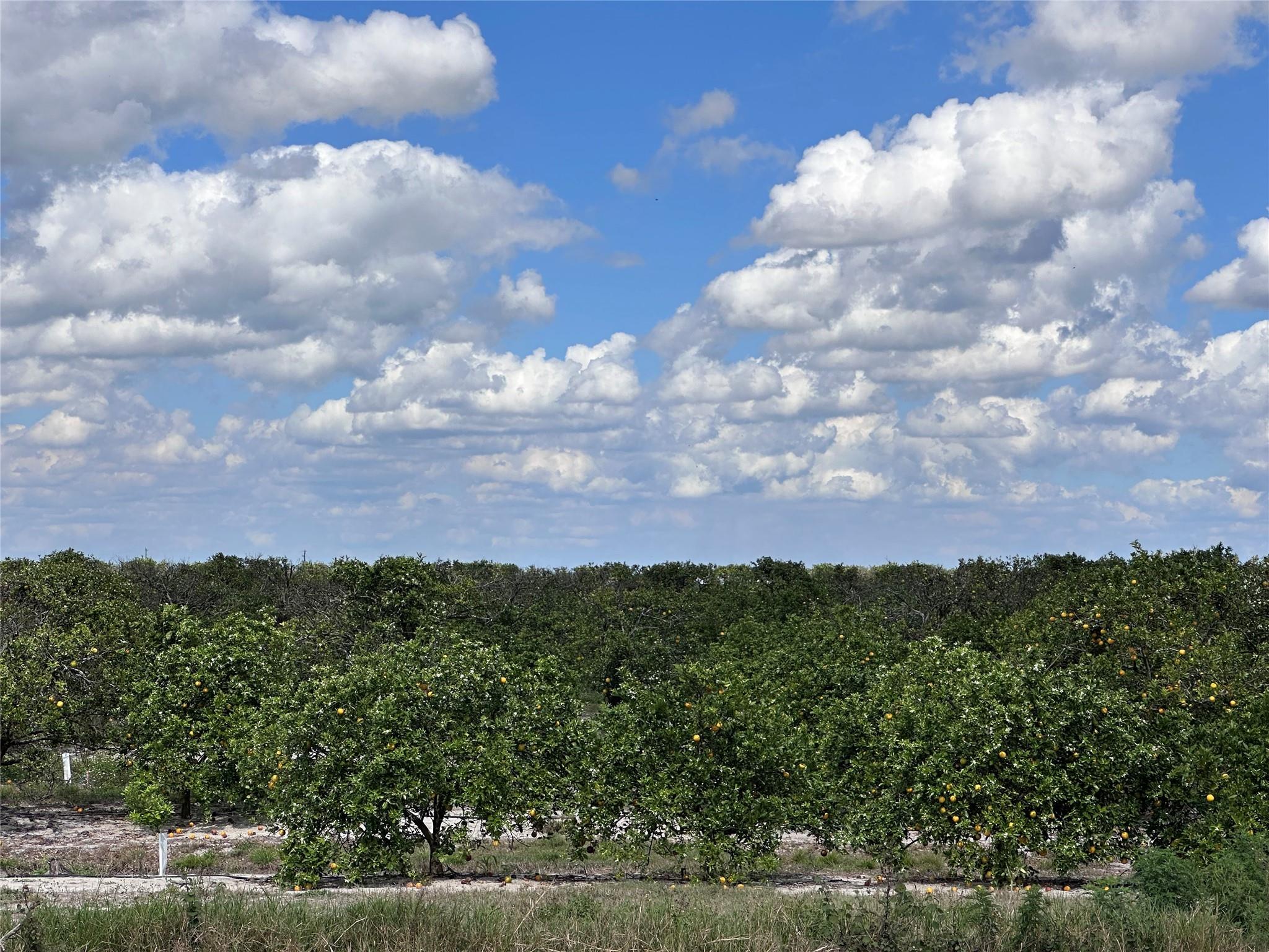 Homes for sale in Clewiston, FL | 835 N Lindero St, Clewiston, FL 33440 | MLS# F10489669