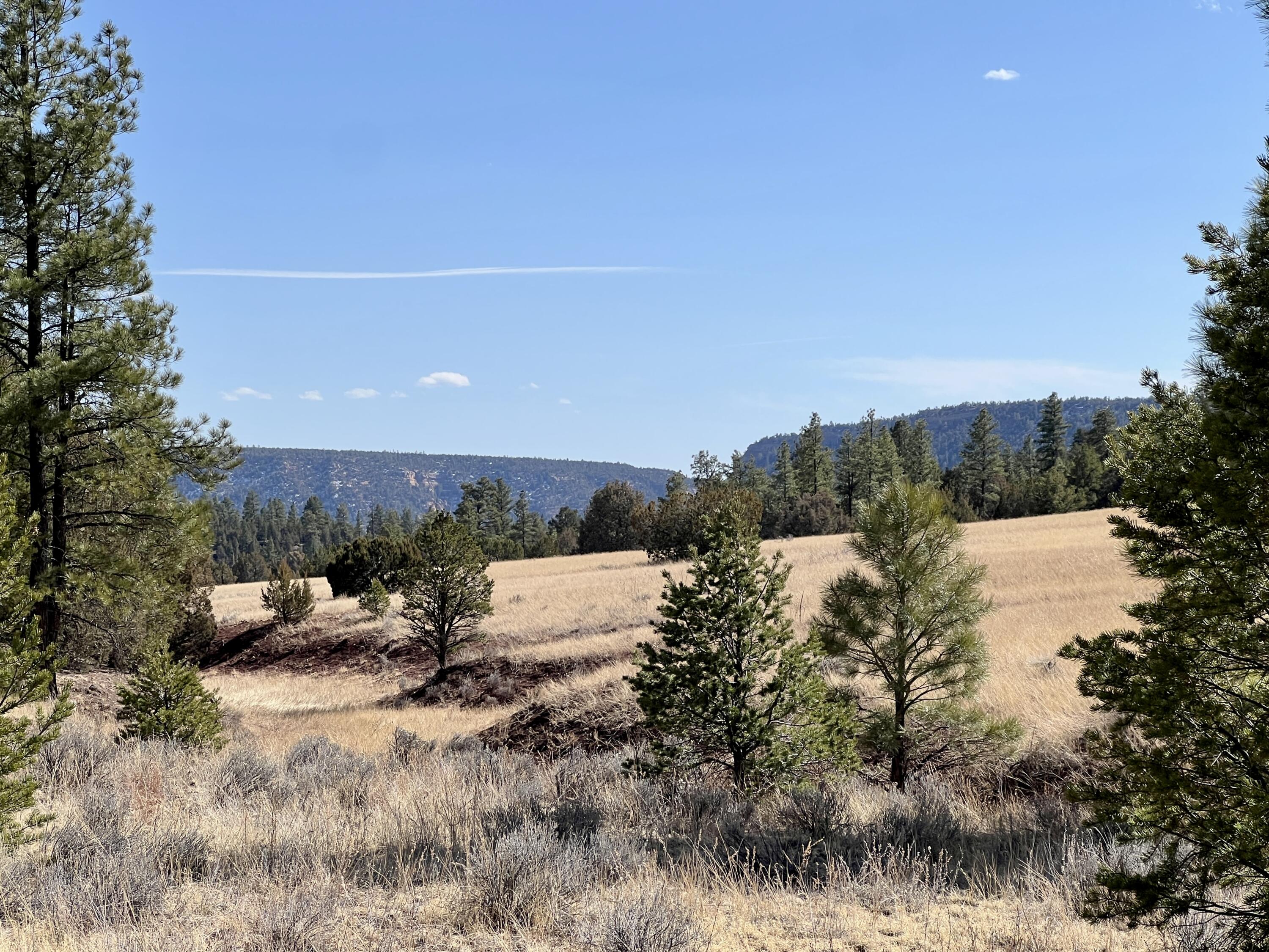 Homes for sale in Ramah, NM | Lot 9 Juniper Dr, Ramah, NM 87321 | MLS# 1079216