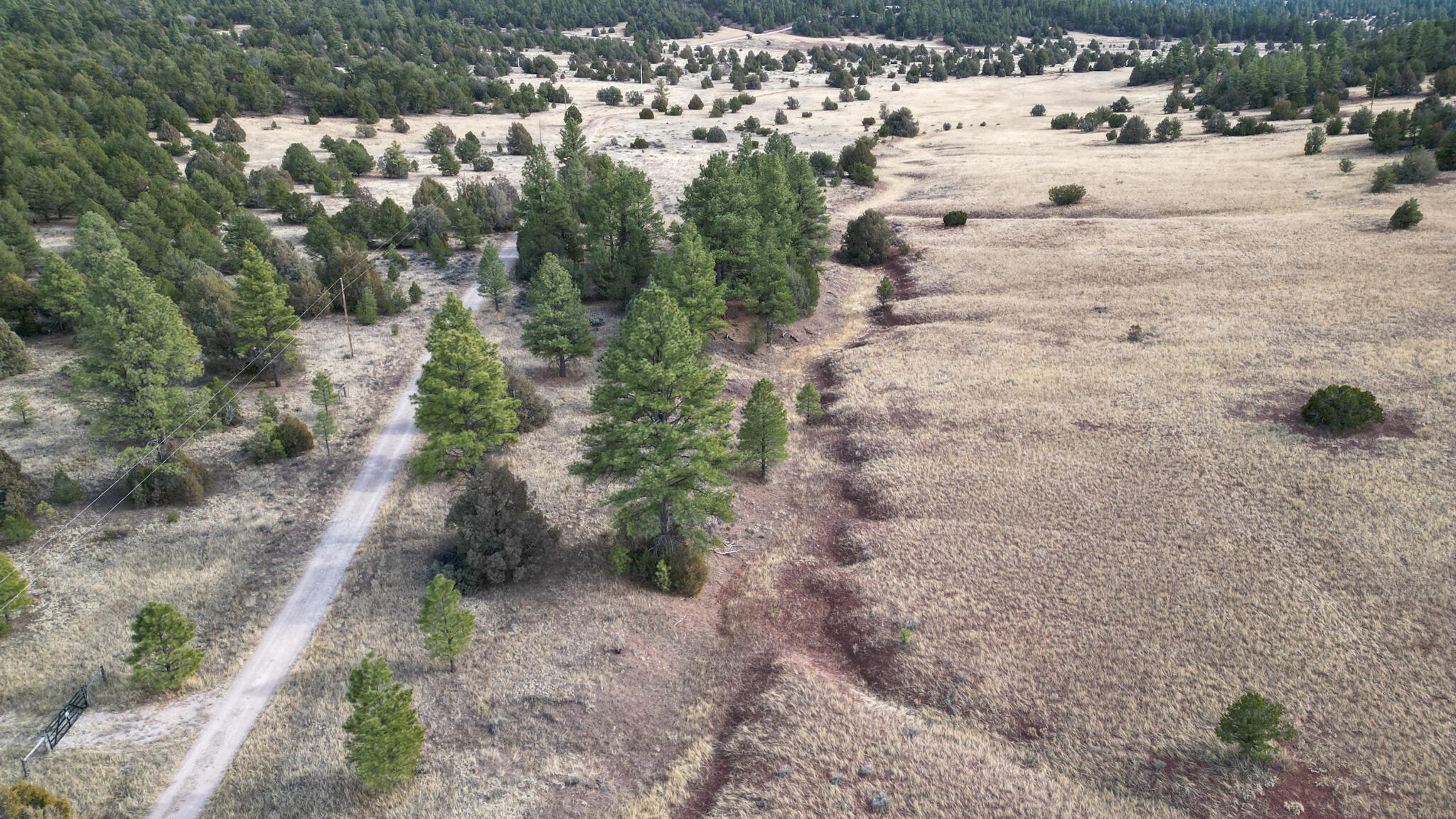 Homes for sale in Ramah, NM | Lot 9 Juniper Dr, Ramah, NM 87321 | MLS# 1079216