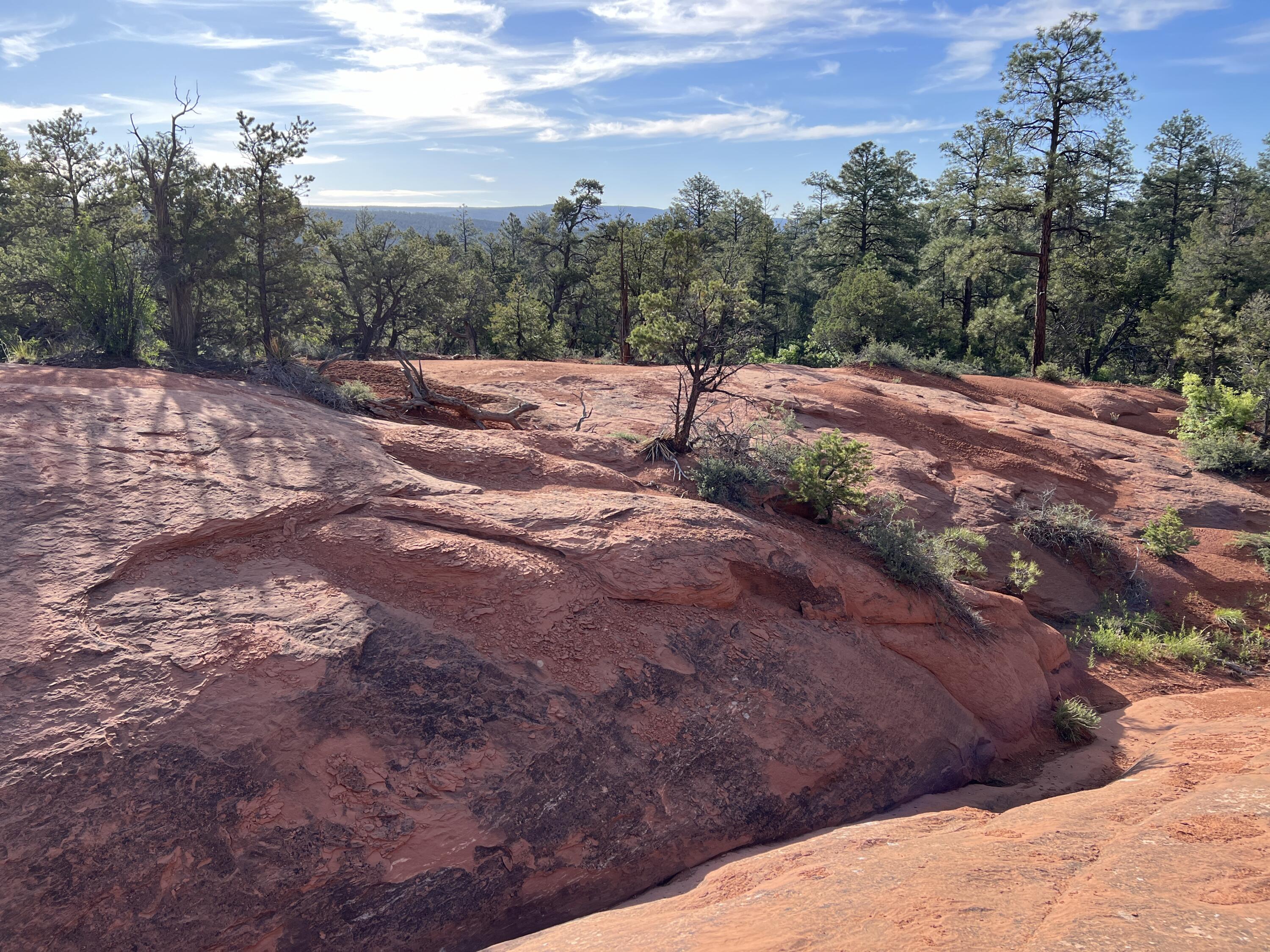 Homes for sale in Ramah, NM | Lot 9 Juniper Dr, Ramah, NM 87321 | MLS# 1079216