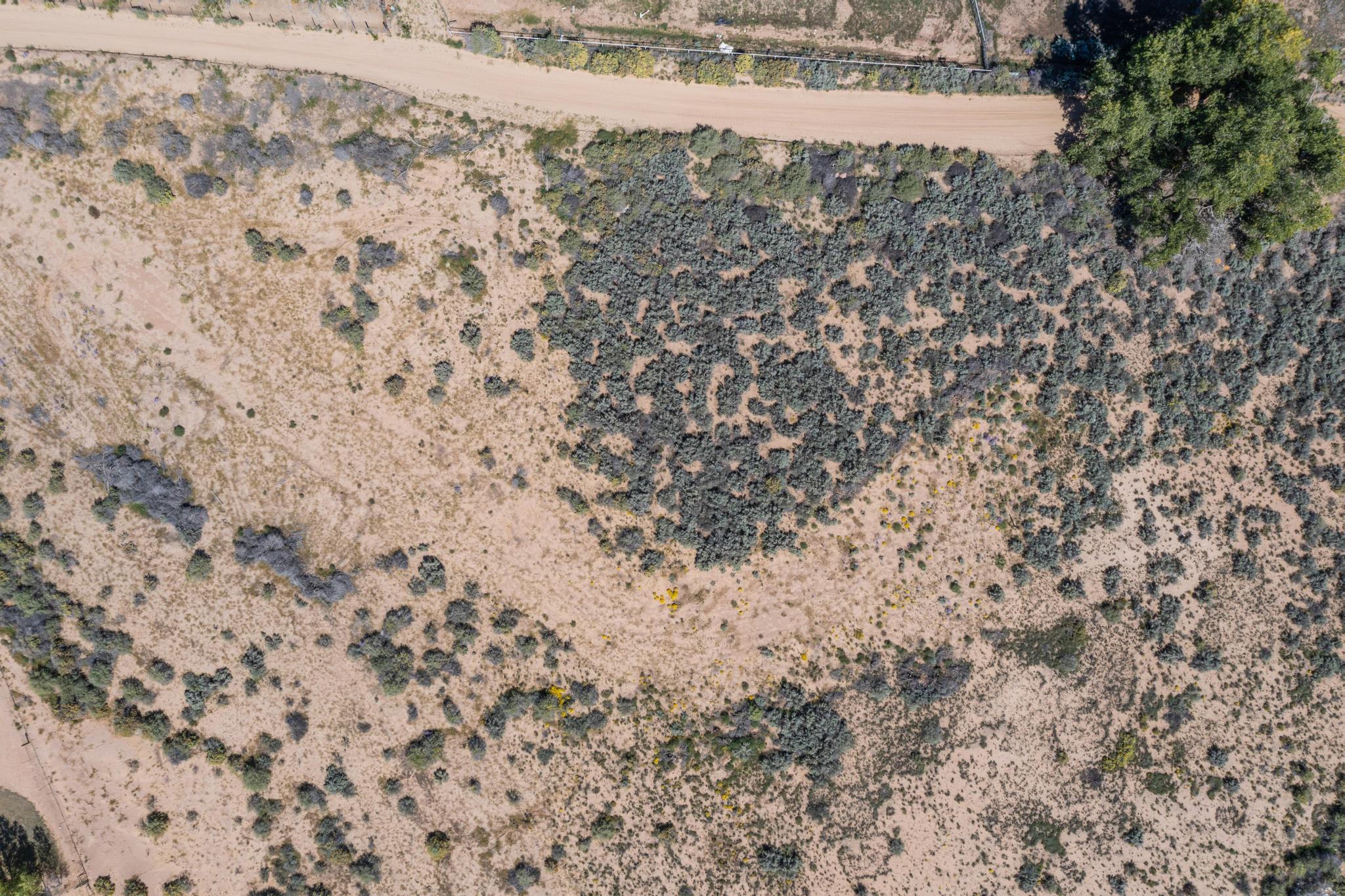 Homes for sale in Los Chavez, NM | 00064 La Ladera Estates-Vacant Land Rd, Los Chavez, NM 87002 | MLS# 1079243