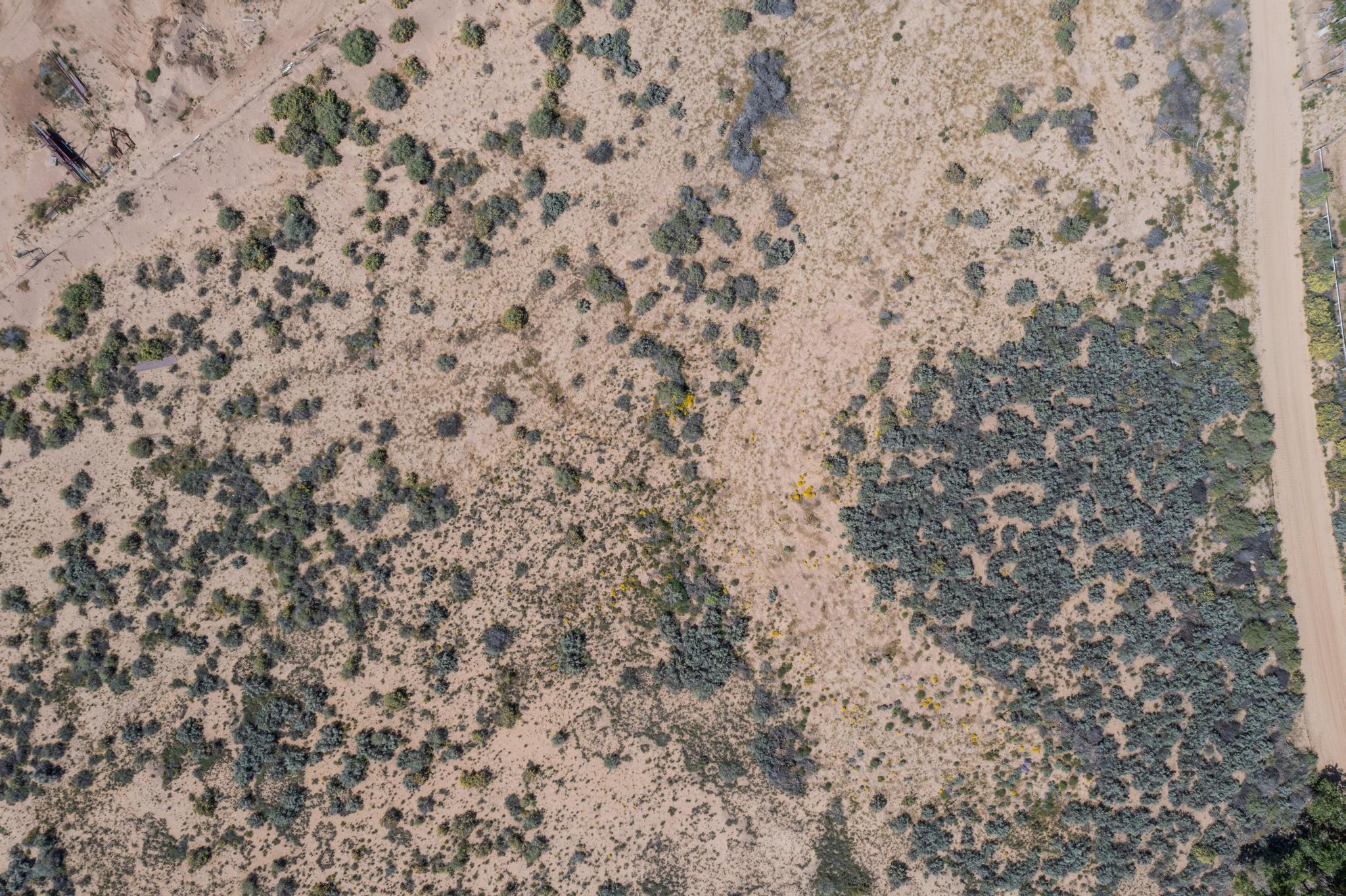 Homes for sale in Los Chavez, NM | 00064 La Ladera Estates-Vacant Land Rd, Los Chavez, NM 87002 | MLS# 1079243