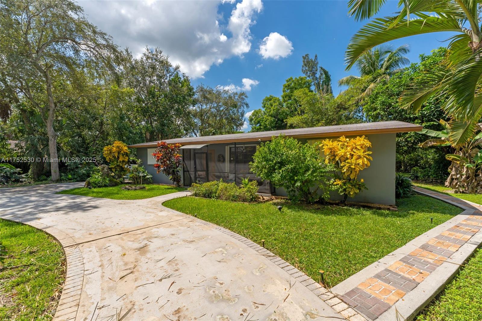 Griffing Silver Palm