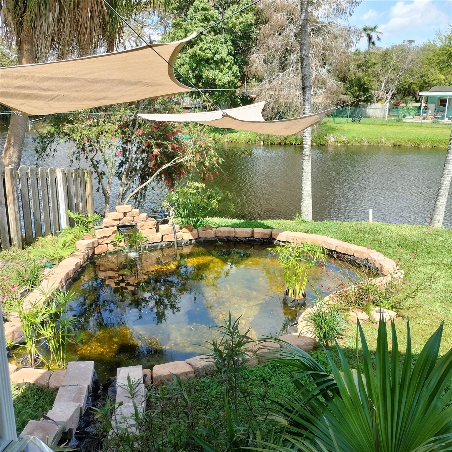 Pond with turtles.  Kids will love it!