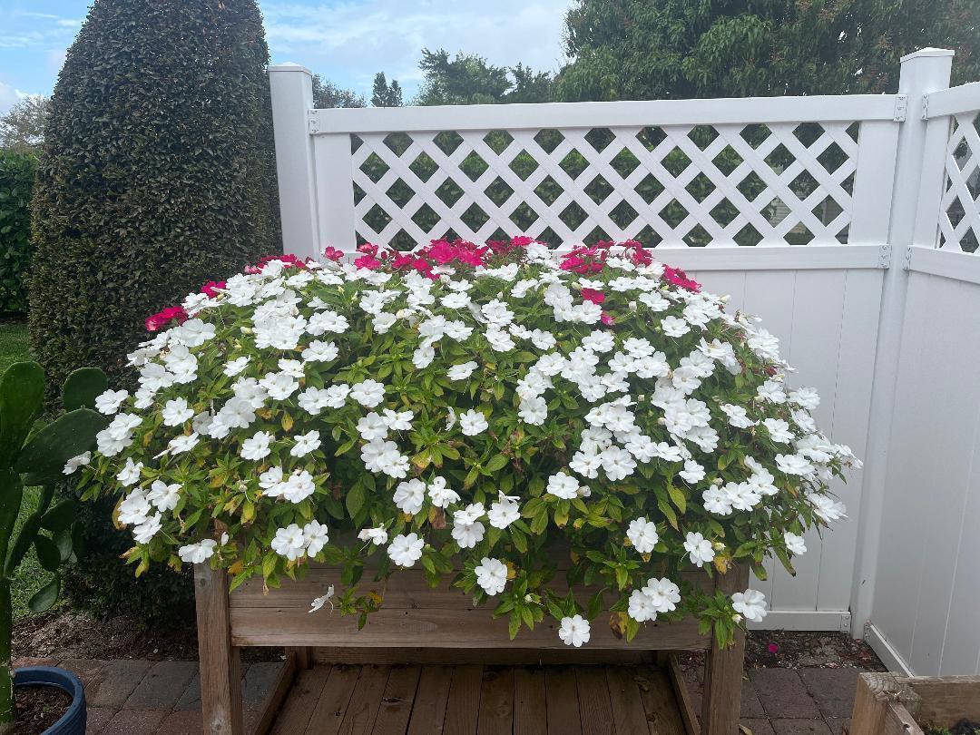 Homes for sale in Hobe Sound, FL | 6985 Se Amendment Street, Hobe Sound, FL 33455 | MLS# R11068198