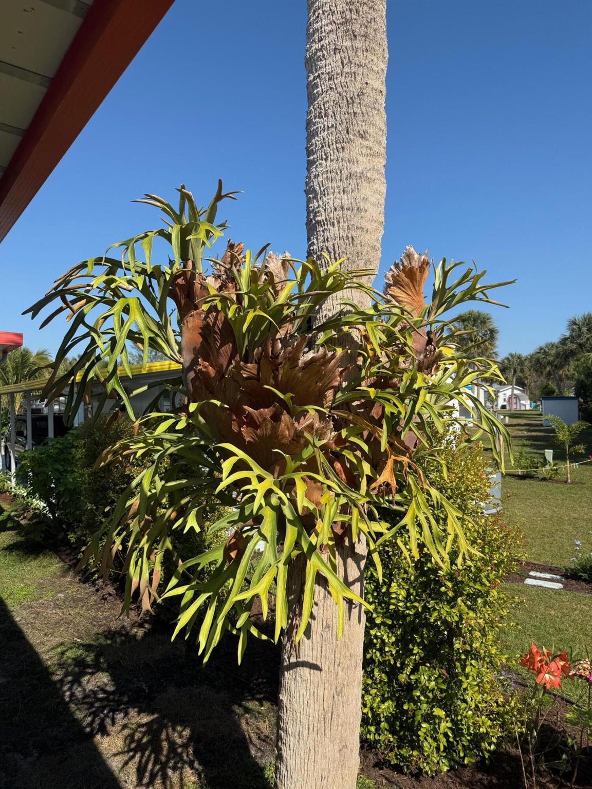 Homes for sale in Jensen Beach, FL | 4743 Ne Blue Heron Lane #7, Jensen Beach, FL 34957 | MLS# R11068494