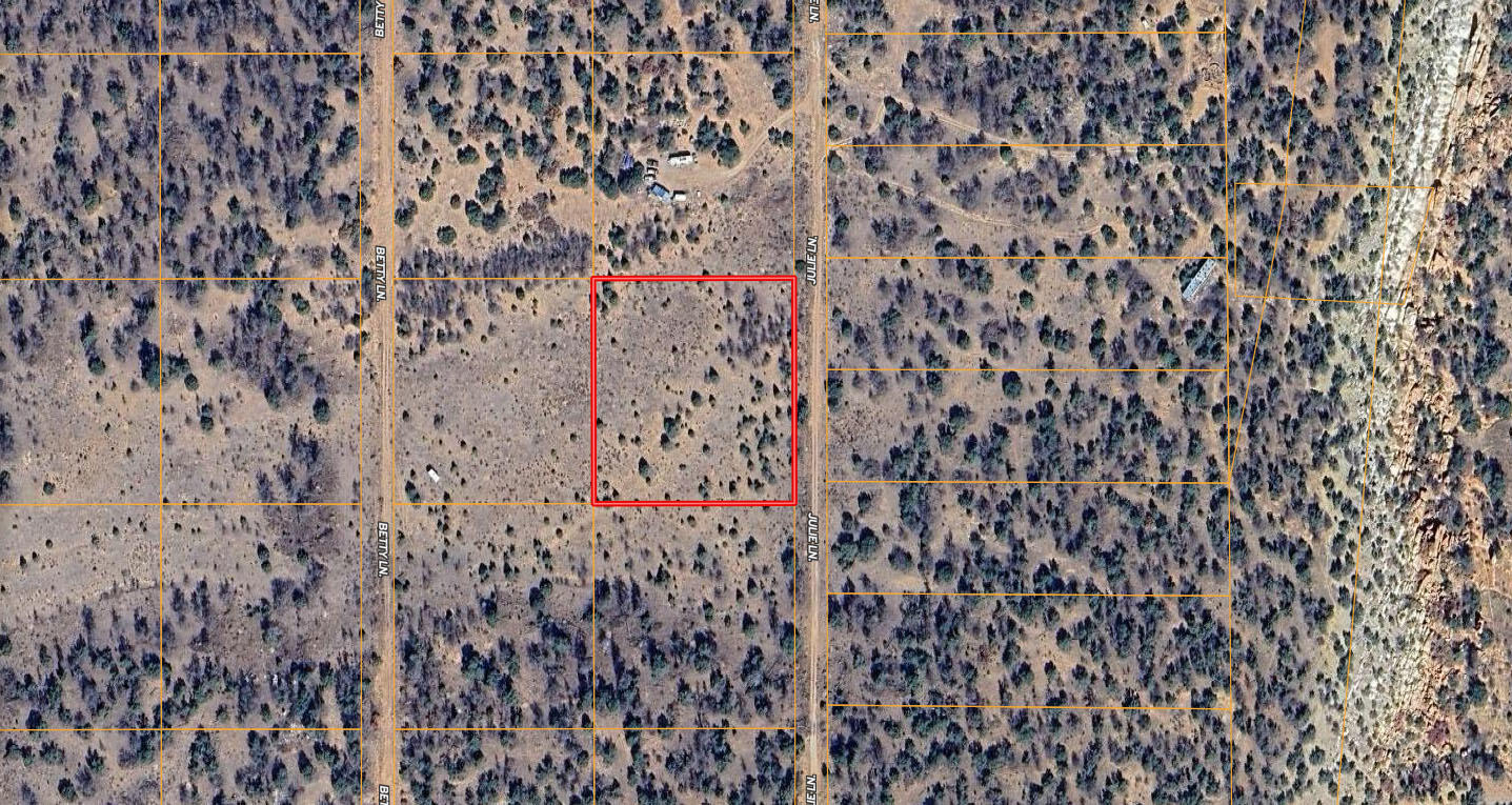Homes for sale in Ramah, NM | Lot 531 Julie Ln, Ramah, NM 87321 | MLS# 1079546