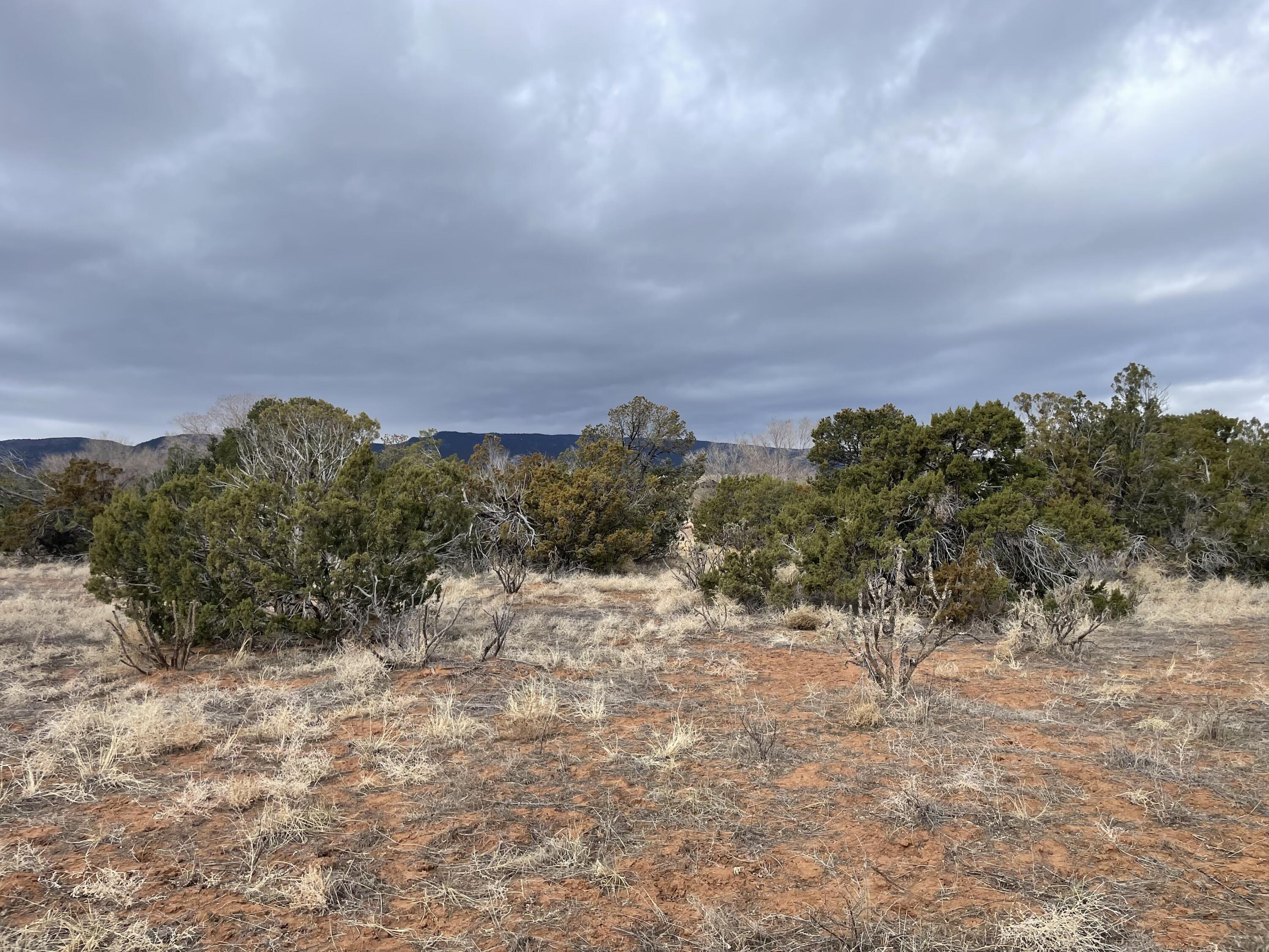 Homes for sale in Sandia Park, NM | 150 Paako Dr, Sandia Park, NM 87047 | MLS# 1079618