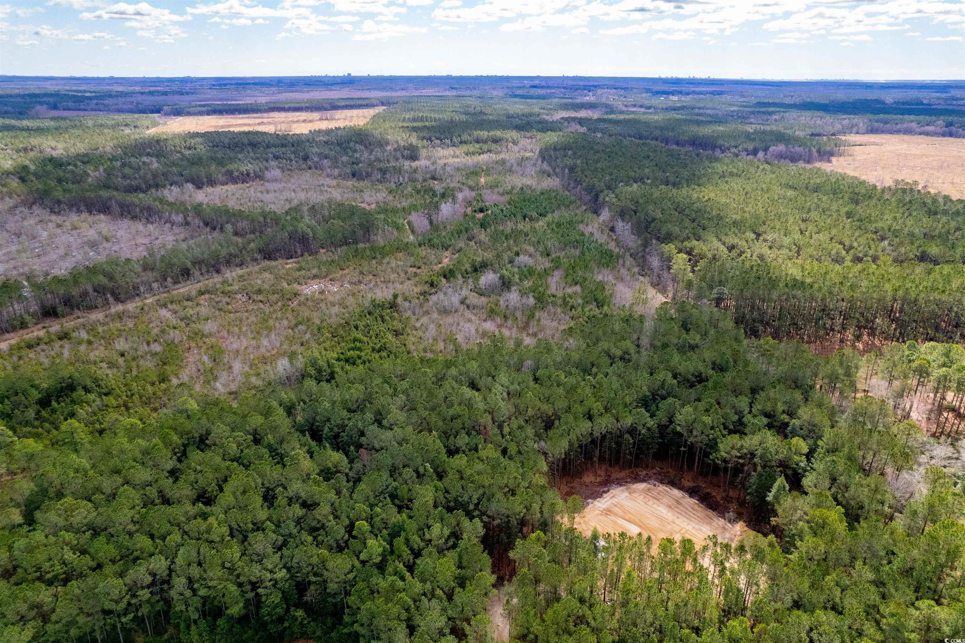 TBD Highway 905 Conway, SC 29526