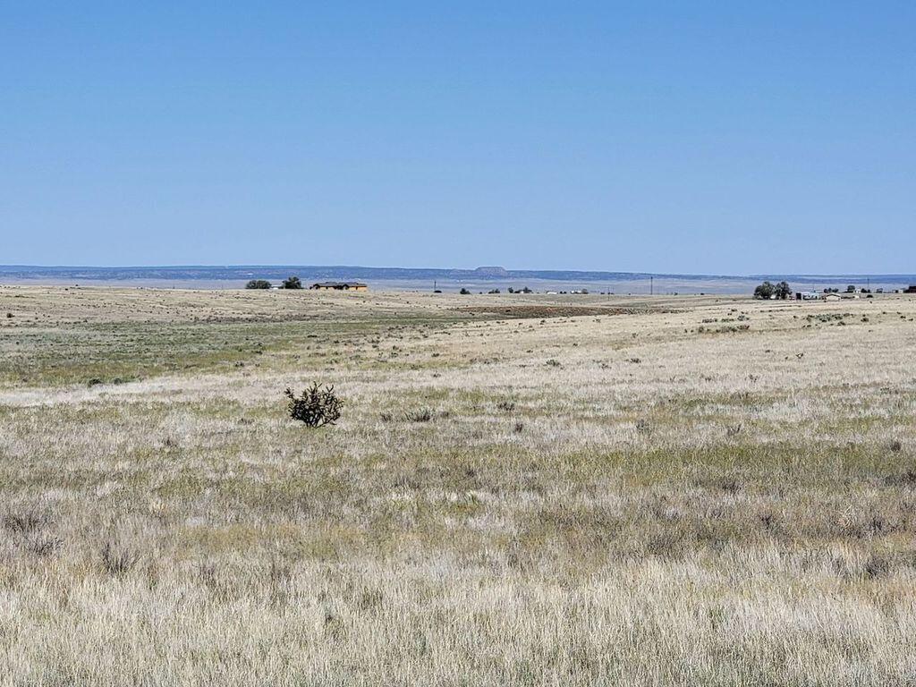 Homes for sale in Stanley, NM | 80 Overo Ln, Stanley, NM 87056 | MLS# 1079722