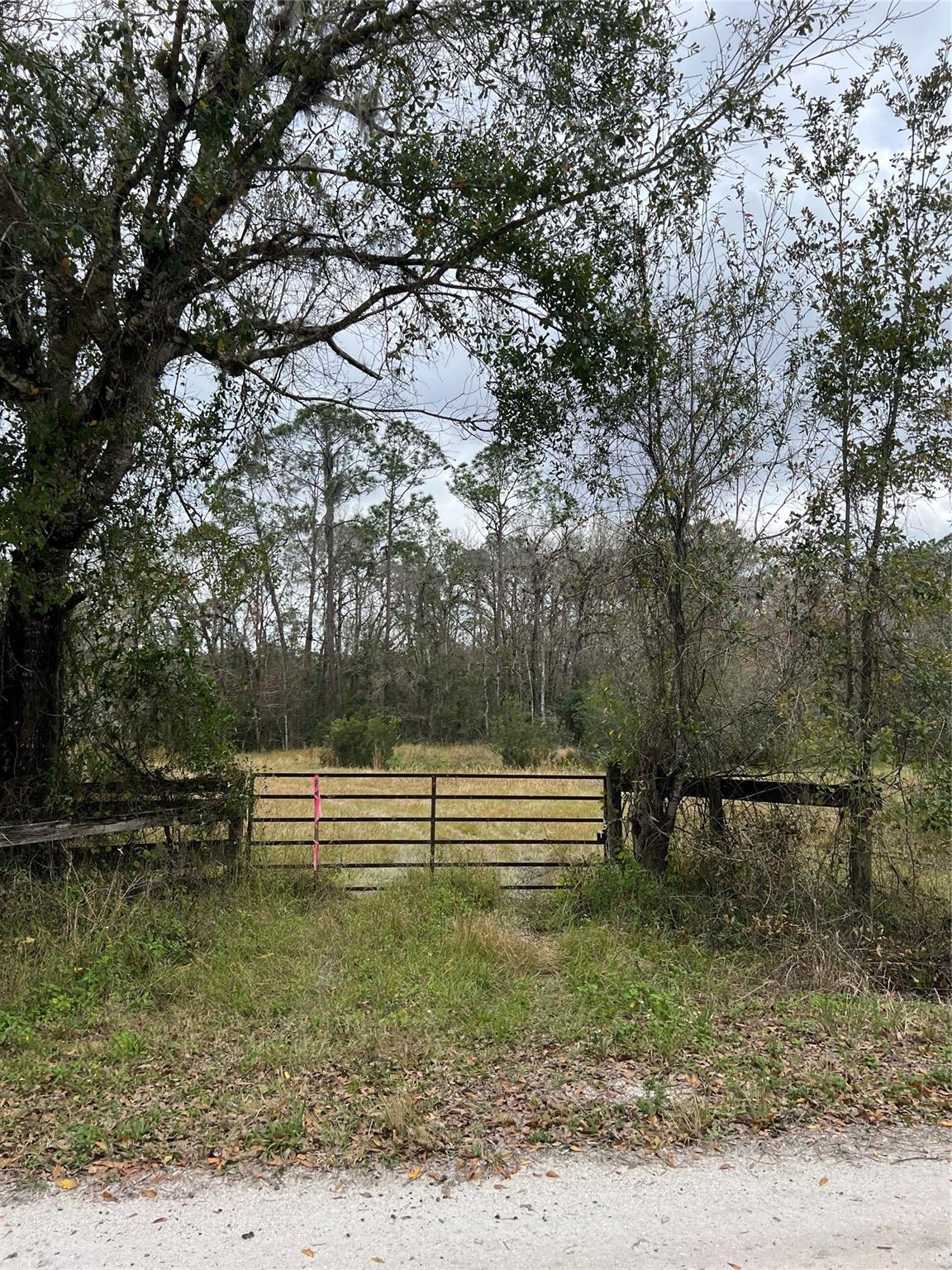 Homes for sale in Venus, FL | 641 Sheppard Rd, Venus, FL 33960 | MLS# F10491893