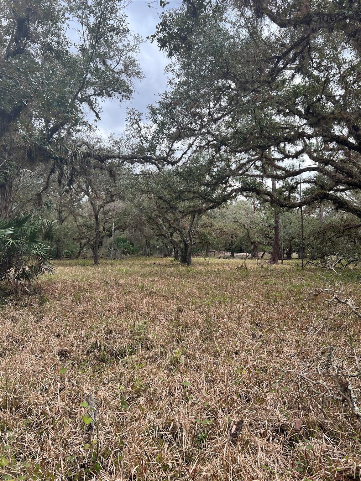 Homes for sale in Venus, FL | 641 Sheppard Rd, Venus, FL 33960 | MLS# F10491893